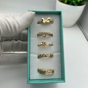 5 in 1 boxed knuckle rings